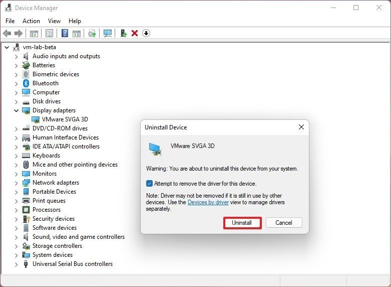 Eliminar controlador de video en Windows 11
