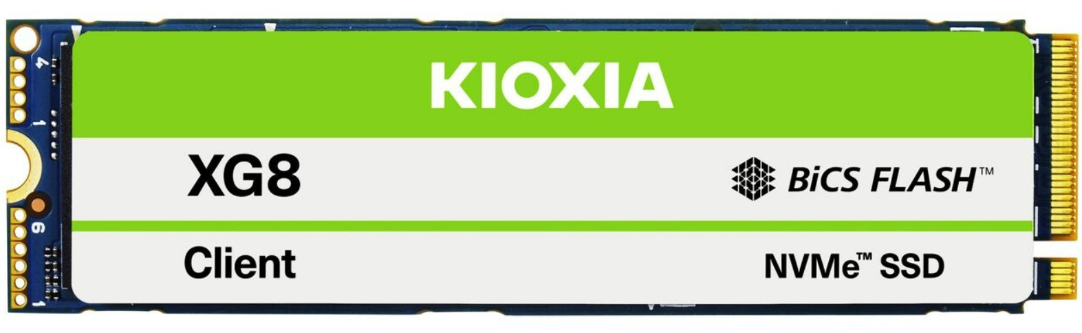 Kioxia XG8